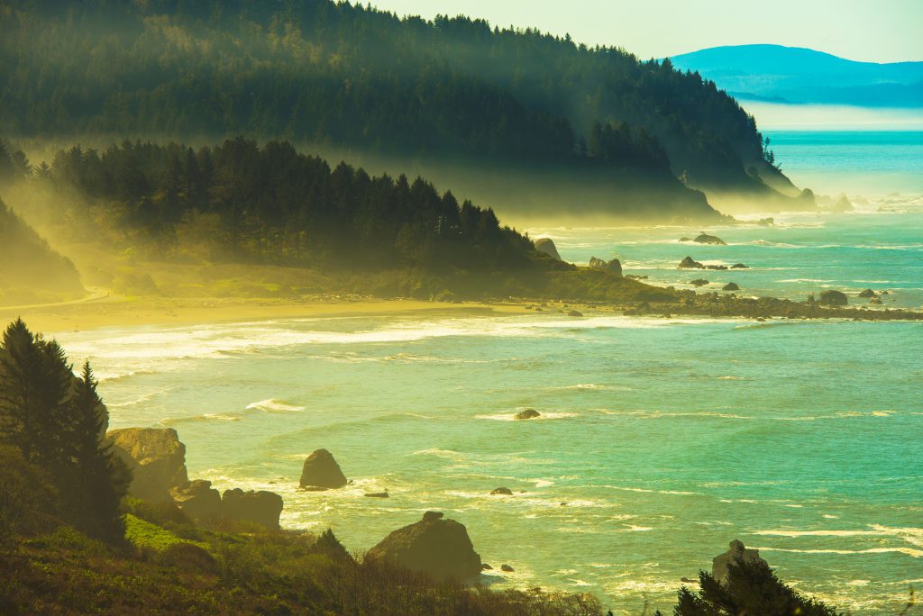 Beach City Eureka California Misty Redwood Pacific Coast