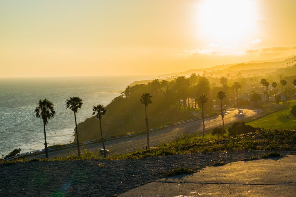 San Pedro, California beach sunset palm trees