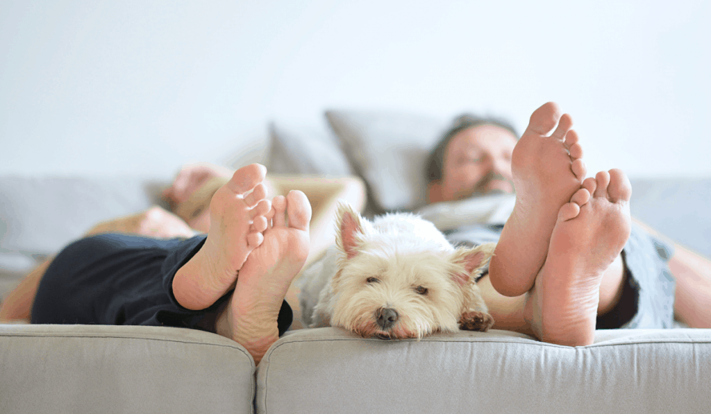 Coppia che si rilassa comodamente con il cane ai piedi