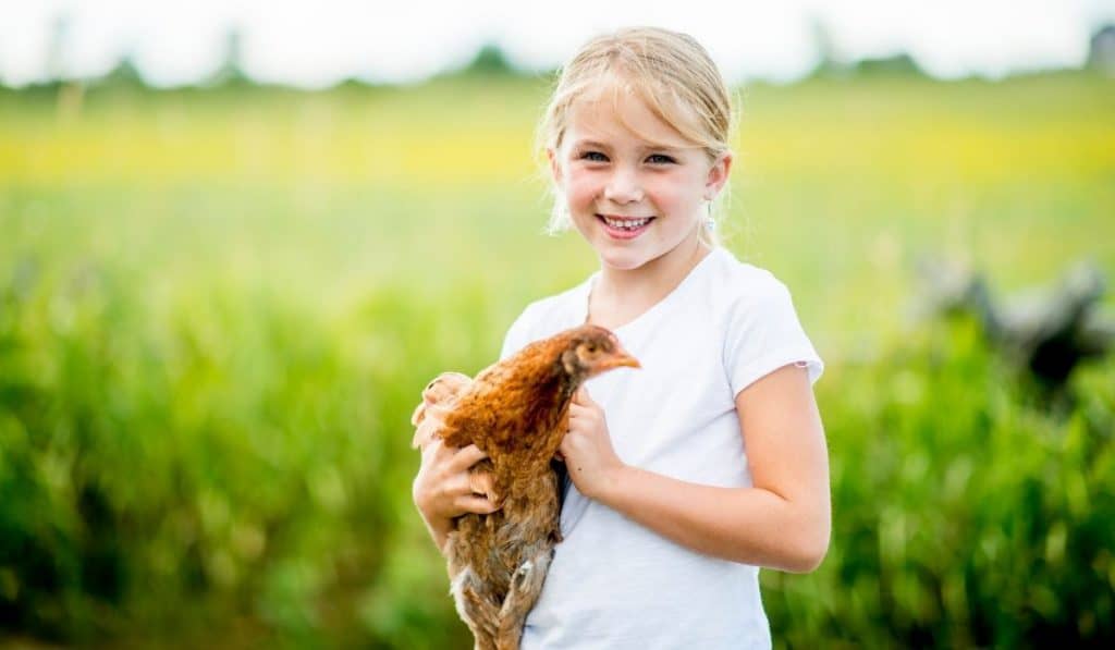 girl carrying a live chicken